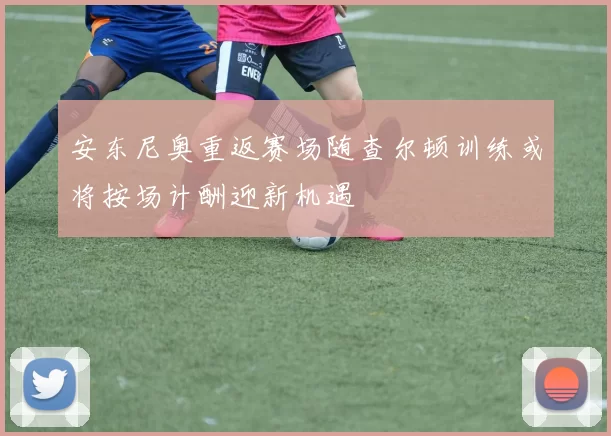 安东尼奥重返赛场随查尔顿训练或将按场计酬迎新机遇